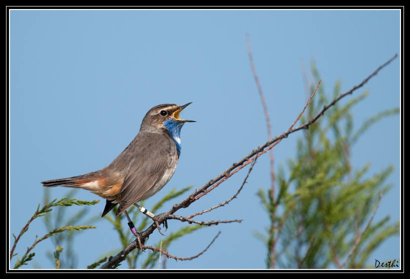 DSC_8059.jpg